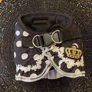 PRECIOUS POLKA Dot Ruffle Puppy Harness!